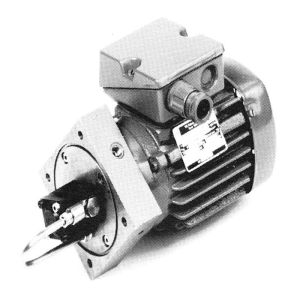 DELIMON ADM12A01O00 AD-M Gear Pump 1.2 L/min 400/460V 3.000rpm without reservoir without accessories